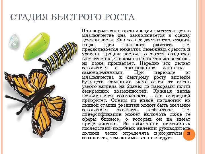 СТАДИЯ БЫСТРОГО РОСТА При зарождении организации имеется идея, в младенчестве она закладывается в основу