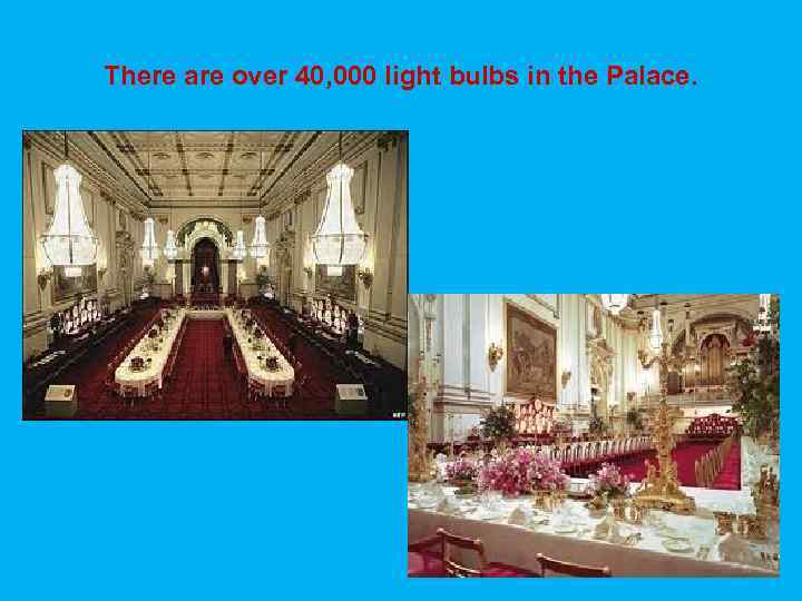 There are over 40, 000 light bulbs in the Palace. 