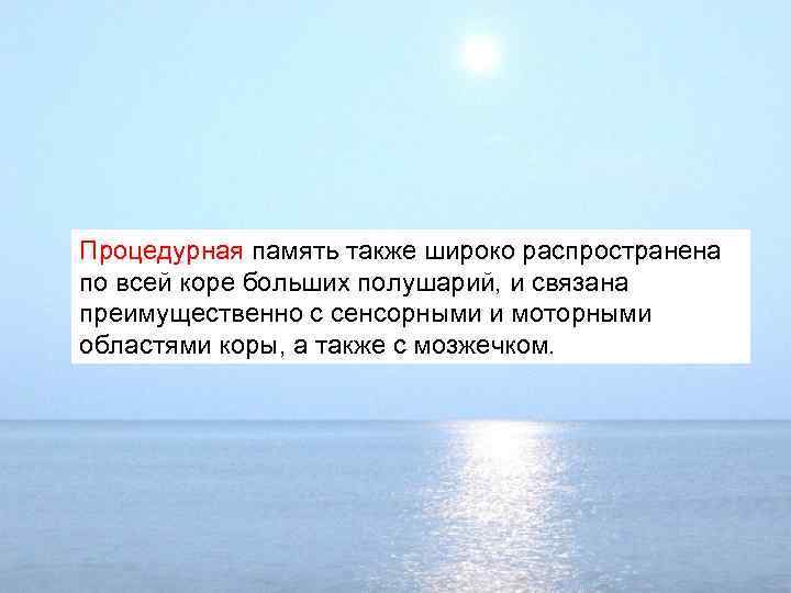 Процедурная память также широко распространена по всей коре больших полушарий, и связана преимущественно с