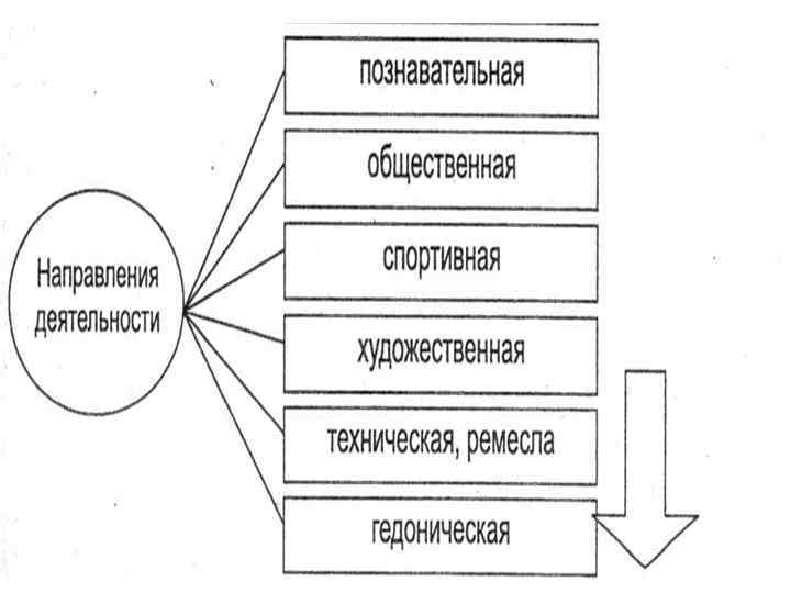 Направления деятельности 