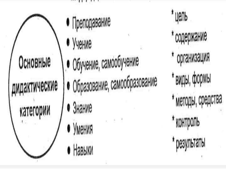 Дидактические категории 