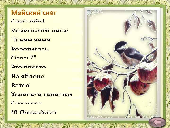 Майский снег Снег идёт! Удивляются дети: 