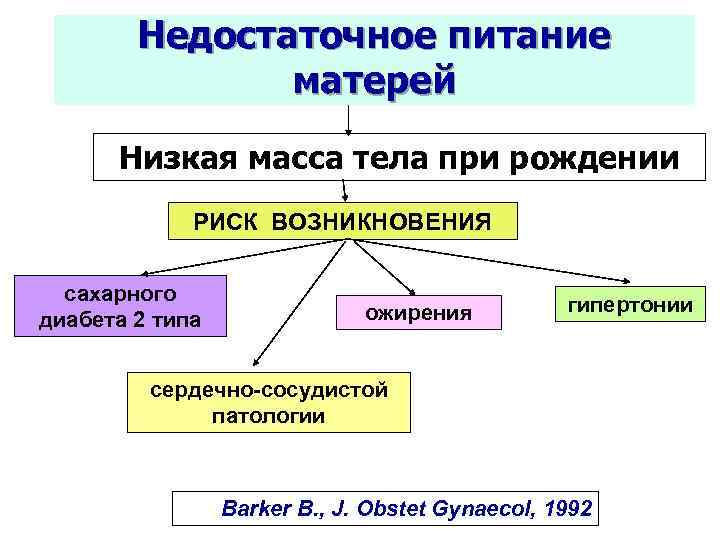 Недостаточное питание матерей Низкая масса тела при рождении РИСК ВОЗНИКНОВЕНИЯ сахарного диабета 2 типа