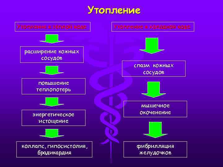 Утопление в тёплой воде расширение кожных сосудов Утопление в холодной воде спазм кожных сосудов