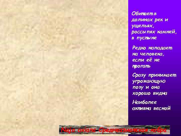 Обитает в долинах рек и ущельях, россыпях камней, в пустыне Редко нападает на человека,