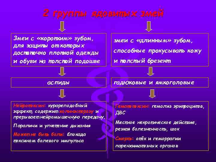 2 группы ядовитых змей Змеи с «коротким» зубом, для защиты от которых достаточно плотной