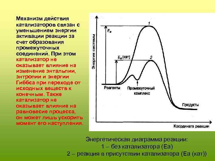  Механизм действия катализаторов связан с уменьшением энергии активации реакции за счет образования промежуточных