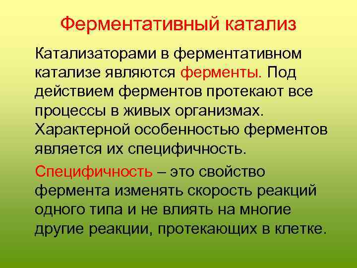 Ферментативный катализ Катализаторами в ферментативном катализе являются ферменты. Под действием ферментов протекают все процессы