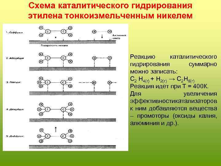 Схема каталитического гидрирования этилена тонкоизмельченным никелем Реакцию каталитического гидрирования суммарно можно записать: С 2