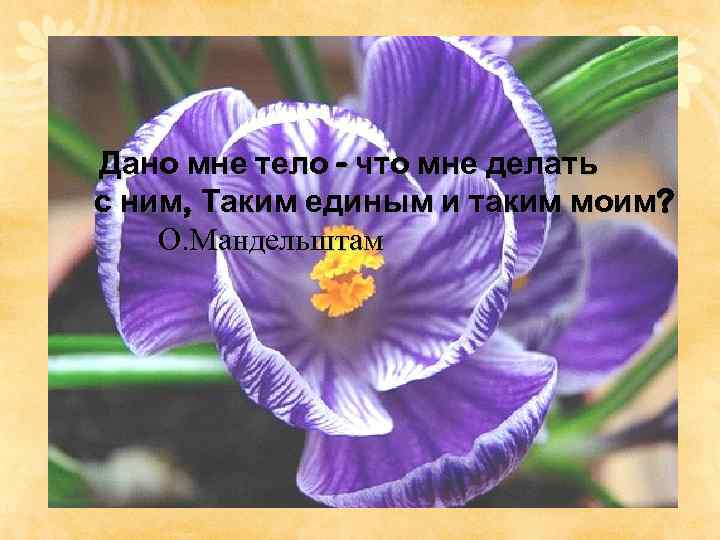 Дано мне тело - что мне делать с ним, Таким единым и таким моим?