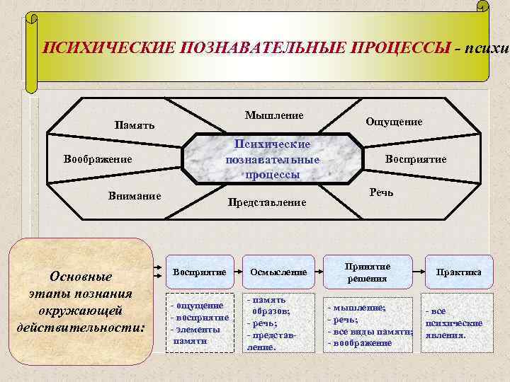 ПСИХИЧЕСКИЕ ПОЗНАВАТЕЛЬНЫЕ ПРОЦЕССЫ - психич Мышление Память Воображение Психические познавательные процессы Внимание Основные этапы