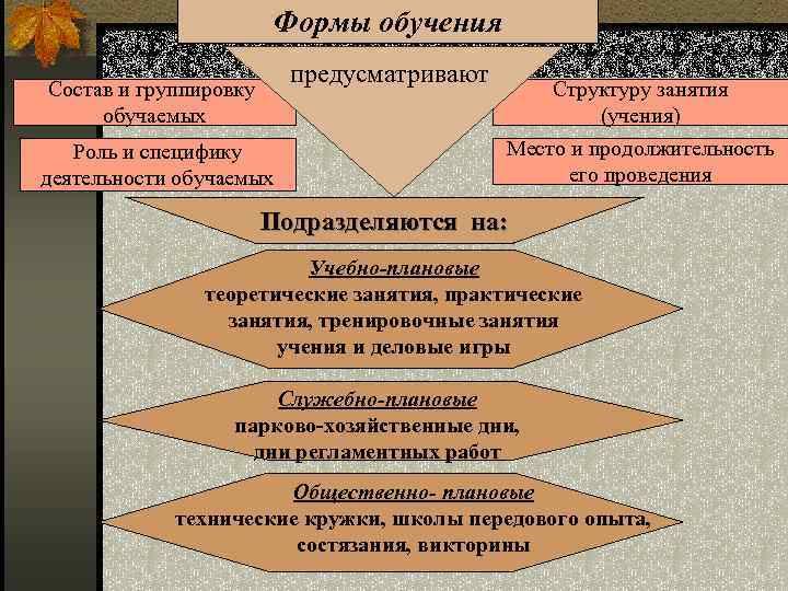Формы обучения предусматривают Состав и группировку обучаемых Роль и специфику деятельности обучаемых Структуру занятия