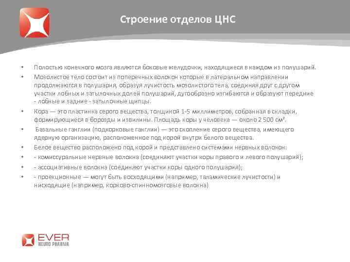 Строение отделов ЦНС • • Полостью конечного мозга являются боковые желудочки, находящиеся в каждом