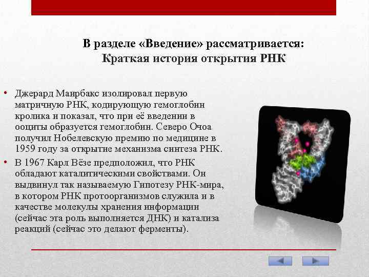 В разделе «Введение» рассматривается: Краткая история открытия РНК • Джерард Маирбакс изолировал первую матричную