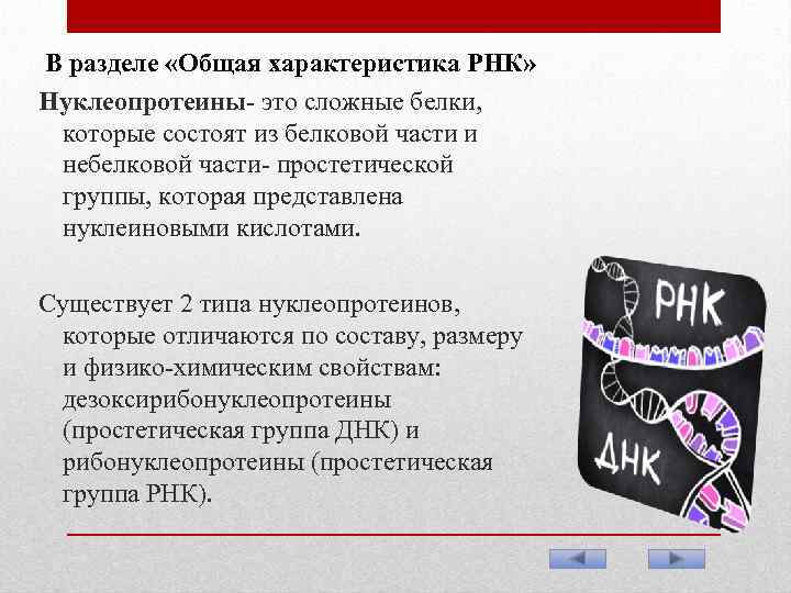 В разделе «Общая характеристика РНК» Нуклеопротеины- это сложные белки, которые состоят из белковой части