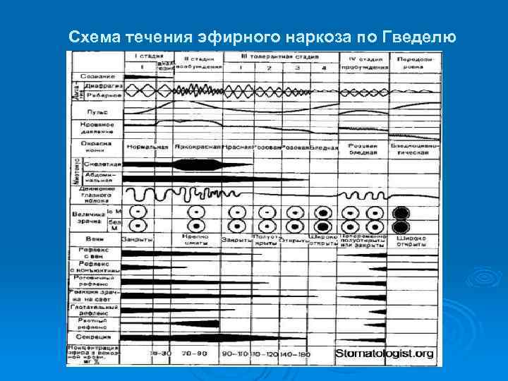  Схема течения эфирного наркоза по Гведелю 