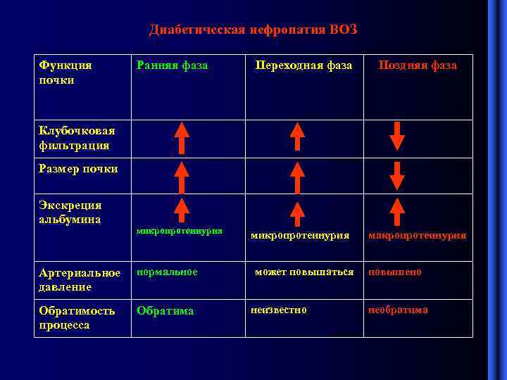 Диабетическая нефропатия ВОЗ Функция почки Ранняя фаза Переходная фаза Поздняя фаза Клубочковая фильтрация Размер