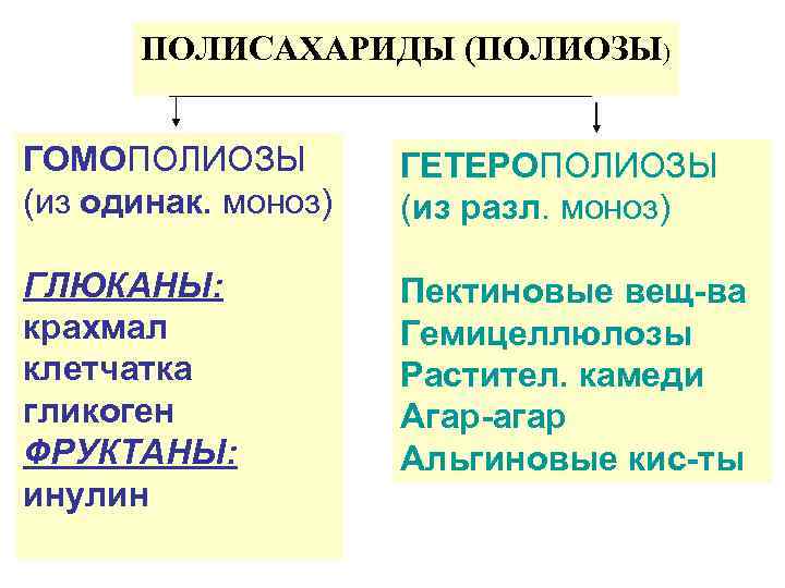 ПОЛИСАХАРИДЫ (ПОЛИОЗЫ) ГОМОПОЛИОЗЫ (из одинак. моноз) ГЕТЕРОПОЛИОЗЫ (из разл. моноз) ГЛЮКАНЫ: крахмал клетчатка гликоген