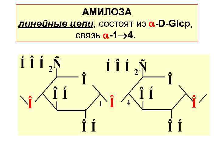 АМИЛОЗА линейные цепи, состоят из -D-Glcp, связь -1 4. 