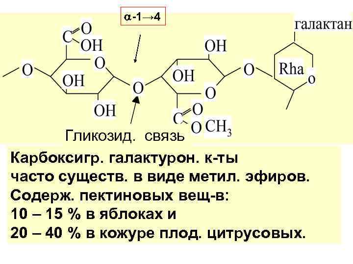  -1→ 4 Гликозид. связь Карбоксигр. галактурон. к-ты часто существ. в виде метил. эфиров.