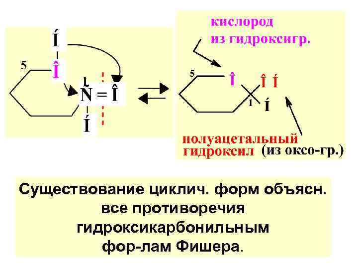 Существование циклич. форм объясн. все противоречия гидроксикарбонильным фор-лам Фишера. 