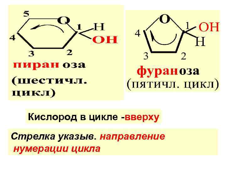 Углеводы кислород