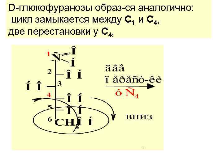 D-глюкофуранозы образ-ся аналогично: цикл замыкается между С 1 и С 4, две перестановки у