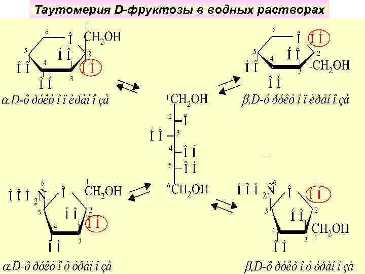 Таутомерия аденина