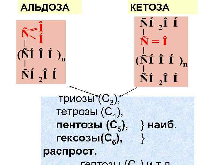 АЛЬДОЗА триозы (С 3), тетрозы (С 4), пентозы (С 5), гексозы(C 6), распрост. КЕТОЗА