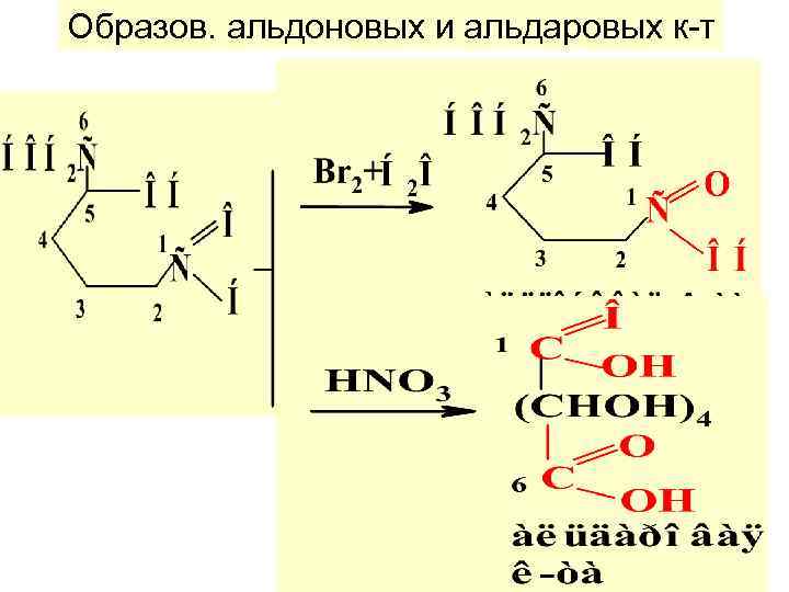 Образов. альдоновых и альдаровых к-т 