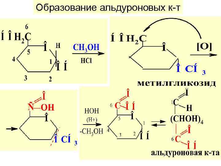 Образование альдуроновых к-т 