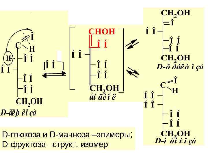 D-глюкоза и D-манноза –эпимеры; D-фруктоза –структ. изомер 