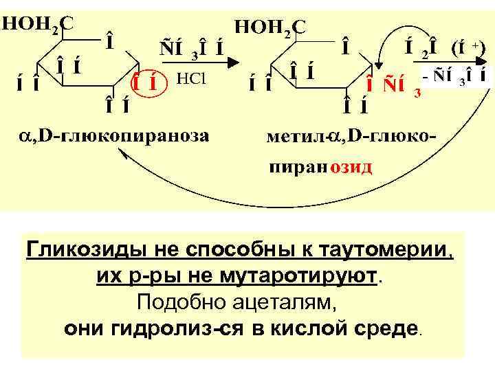 Гликозиды не способны к таутомерии, их р-ры не мутаротируют. Подобно ацеталям, они гидролиз-ся в