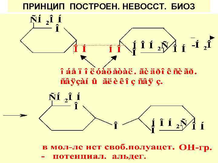 ПРИНЦИП ПОСТРОЕН. НЕВОССТ. БИОЗ 