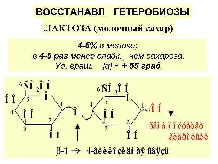 ВОССТАНАВЛ. ГЕТЕРОБИОЗЫ ЛАКТОЗА (молочный сахар) 4 -5% в молоке; в 4 -5 раз менее