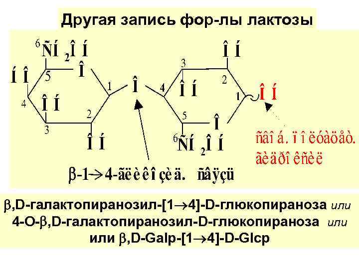 Другая запись фор-лы лактозы , D-галактопиранозил-[1 4]-D-глюкопираноза или 4 -О- , D-галактопиранозил-D-глюкопираноза или ,