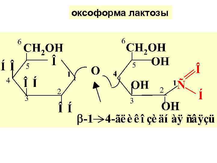 оксоформа лактозы 