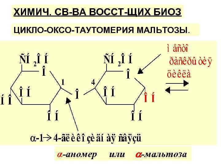 ХИМИЧ. СВ-ВА ВОССТ-ЩИХ БИОЗ ЦИКЛО-ОКСО-ТАУТОМЕРИЯ МАЛЬТОЗЫ. α-аномер или -мальтоза 