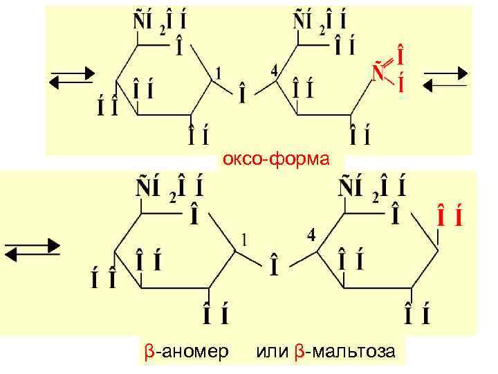 оксо-форма β-аномер или β-мальтоза 