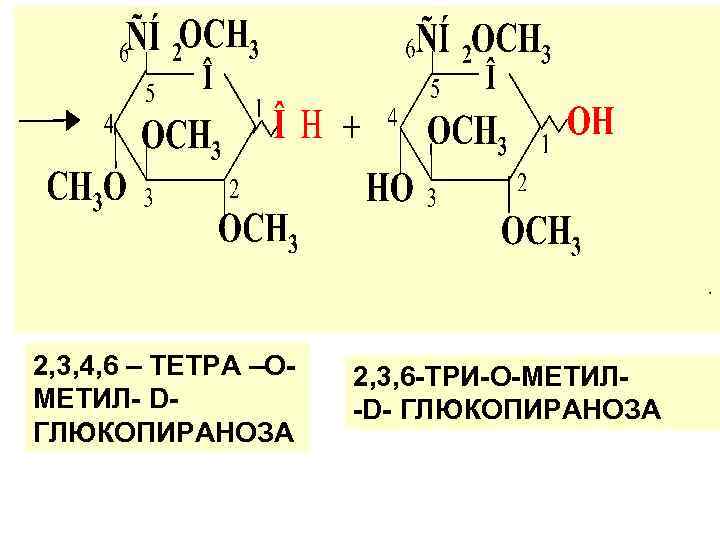 2, 3, 4, 6 – ТЕТРА –ОМЕТИЛ- DГЛЮКОПИРАНОЗА 2, 3, 6 -ТРИ-О-МЕТИЛ-D- ГЛЮКОПИРАНОЗА 