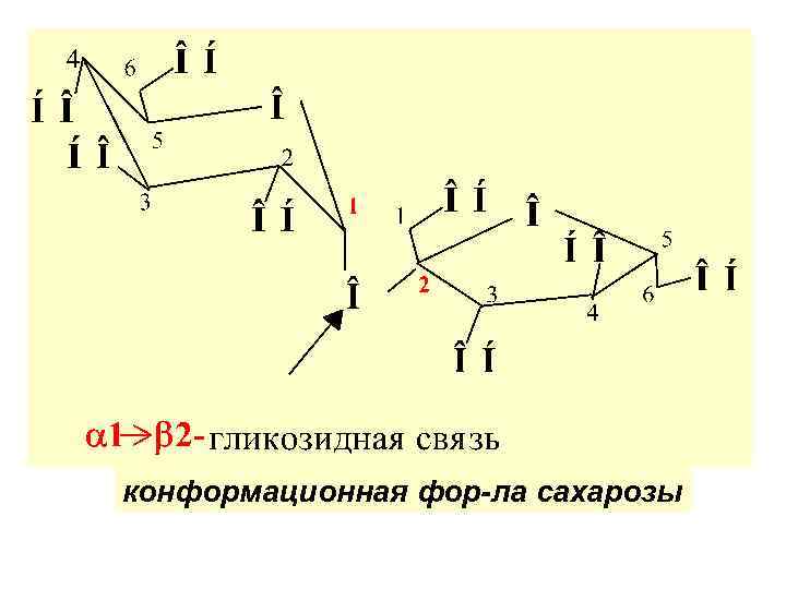 конформационная фор-ла сахарозы 