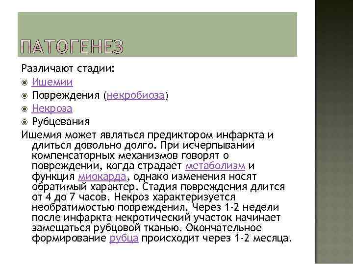 Различают стадии: Ишемии Повреждения (некробиоза) Некроза Рубцевания Ишемия может являться предиктором инфаркта и длиться