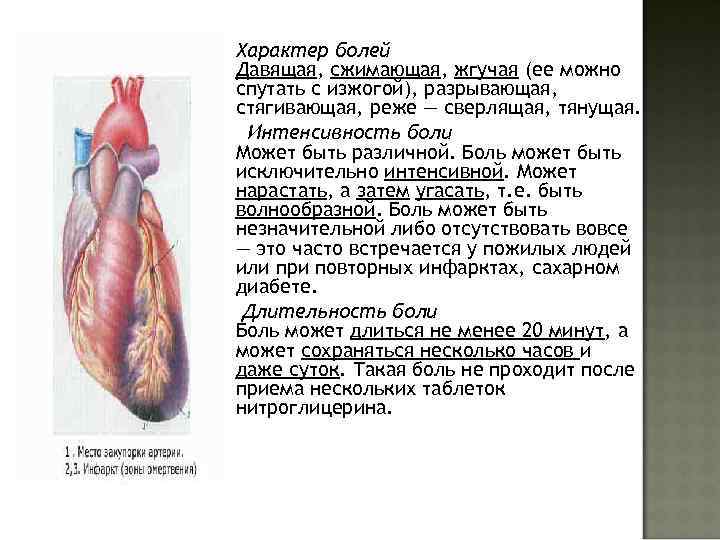 Характер болей Давящая, сжимающая, жгучая (ее можно спутать с изжогой), разрывающая, стягивающая, реже —