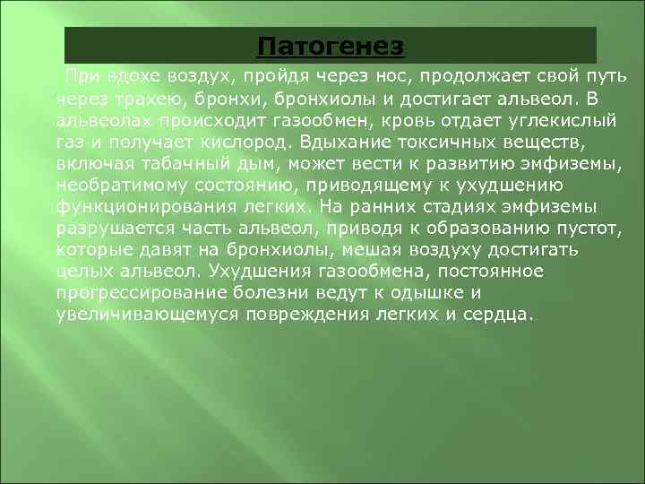 Патогенез При вдохе воздух, пройдя через нос, продолжает свой путь через трахею, бронхиолы и