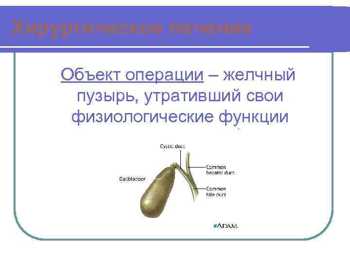 Хирургическое лечение Объект операции – желчный пузырь, утративший свои физиологические функции 