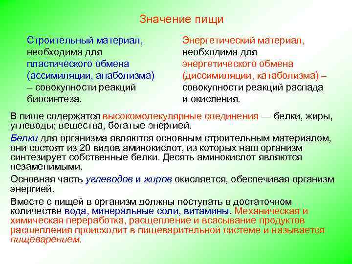 Значение пищи Строительный материал, необходима для пластического обмена (ассимиляции, анаболизма) – совокупности реакций биосинтеза.