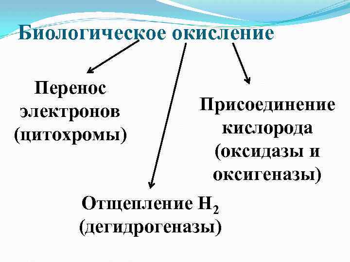 Биологическое окисление Перенос электронов (цитохромы) Присоединение кислорода (оксидазы и оксигеназы) Отщепление Н 2 (дегидрогеназы)