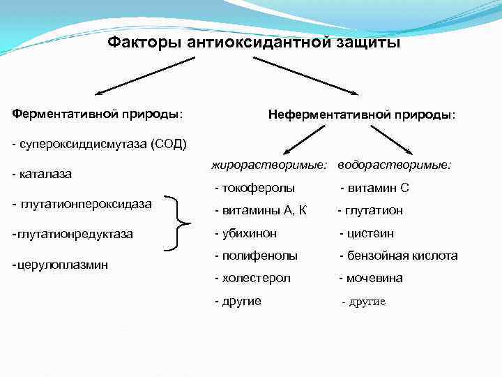 Факторы антиоксидантной защиты Ферментативной природы: Неферментативной природы: - супероксиддисмутаза (СОД) - каталаза жирорастворимые: водорастворимые: