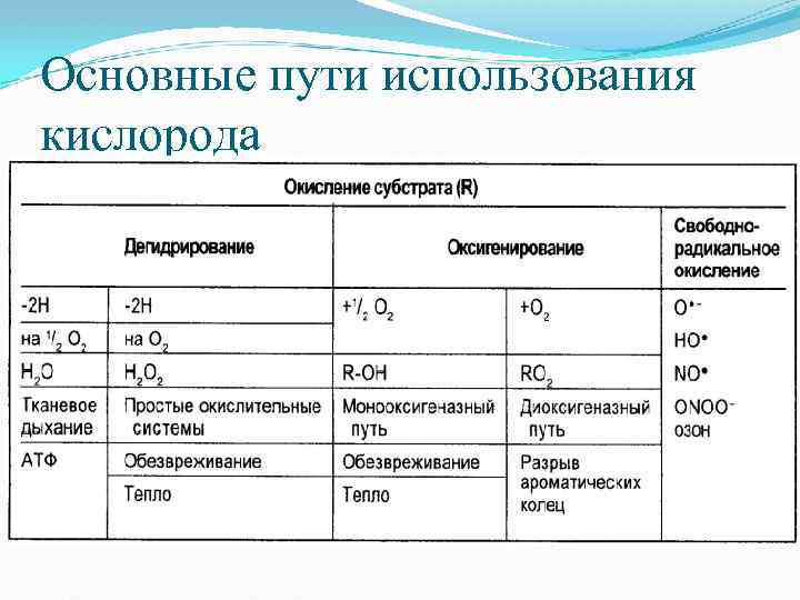Основные пути использования кислорода 