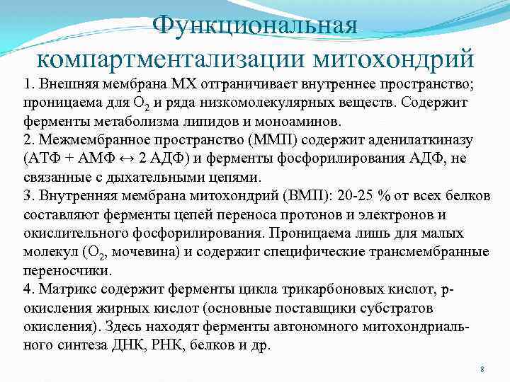 Функциональная компартментализации митохондрий 1. Внешняя мембрана MX отграничивает внутреннее пространство; проницаема для О 2